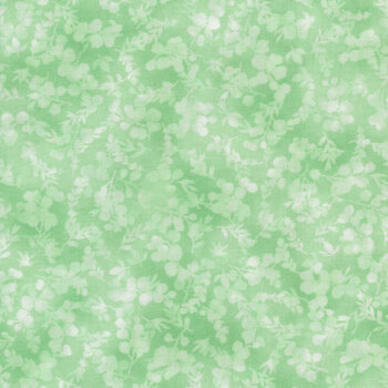 Fusions 21320-34 Sage by Robert Kaufman Fabrics