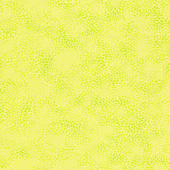 Fusions 21321-134 Citrus by Robert Kaufman Fabrics