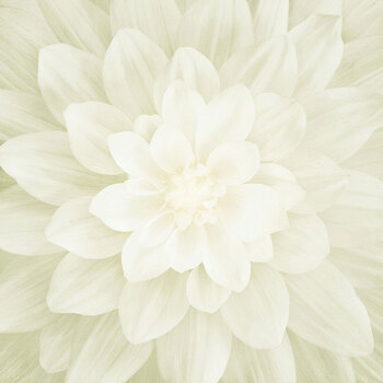 Dream Big P4389-22 Ivory Panel by Hoffman Fabrics, Image
