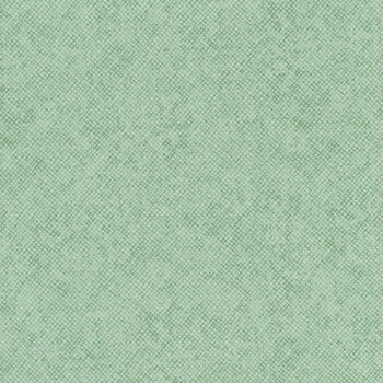 Whisper Weave 13610-42 Mint by Nancy Halvorsen for Benartex