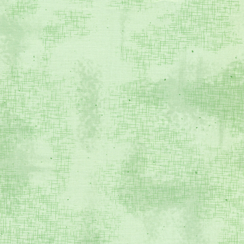 Shabby C605-SWEETMINT by Lori Holt for Riley Blake Designs, Image