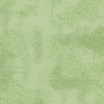 Shabby C605-SWEETMINT by Lori Holt for Riley Blake Designs, Image