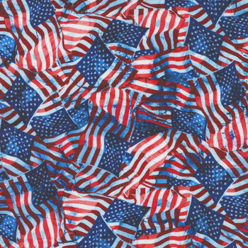 Patriot DP25538-48 by Northcott Fabrics, Image