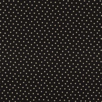 Paula's Companions II R220303-BLACK by Paula Barnes for Marcus Fabrics REM, Image