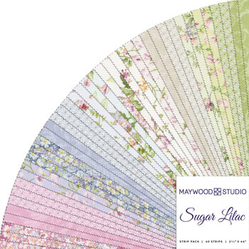 Sugar Lilac  2-1/2