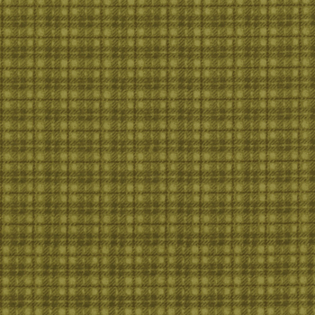 Woolies Flannel 18502-G3 by Bonnie Sullivan for Maywood Studio