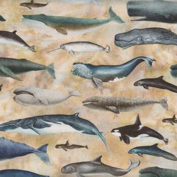 Siren's Call 29993-E Whales by Dan Morris for Quilting Treasures Fabrics, Image