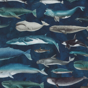 Siren's Call 29993-W Whales by Dan Morris for Quilting Treasures Fabrics, Image