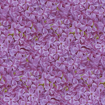 Bloomerang 958-55 Lavender by Jane Shasky for Henry Glass Fabrics REM, Image