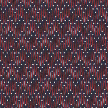 Friday Harbor 3175-77 Navy by Janet Rae Nesbitt for Henry Glass Fabrics