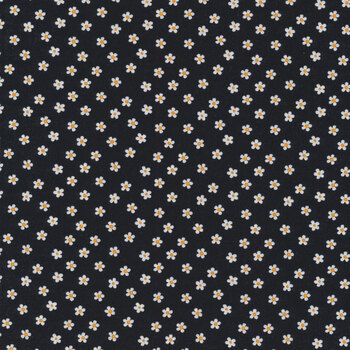 Hop Hop Hooray C14276-BLACK by Teresa Kogut for Riley Blake Designs, Image