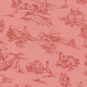 Countryside C14532-CORAL by Lisa Audit for Riley Blake Designs, Image