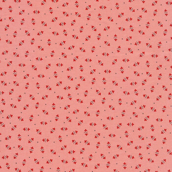 Autumn C14655-CORAL by Lori Holt for Riley Blake Designs, Image