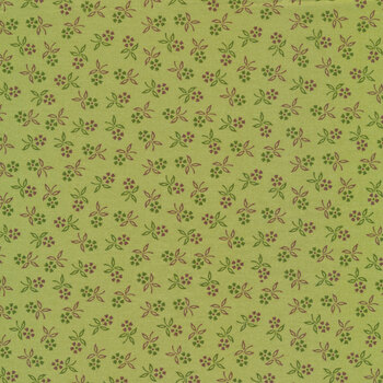 Autumn C14664-LETTUCE by Lori Holt for Riley Blake Designs, Image