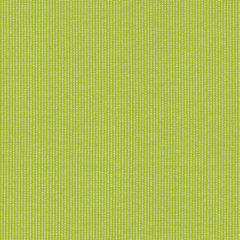 Kimberbell Basics Refreshed MAS8259-G Green Perforated Stripe by Maywood Studio, Image