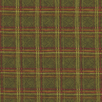 Star of Wonder - Star of Light 17065-44 Plaid Green by Nancy Halvorsen for Benartex, Image