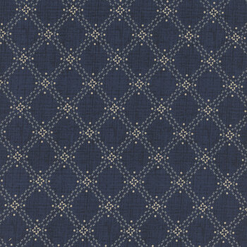 Radiance 98746-491 Diamond Grid Dark Denim by Kaye England for Wilmington Prints