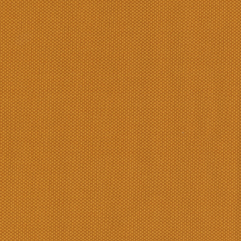 POParazzi C805-BUTTERSCOTCH by Riley Blake Designs, Image