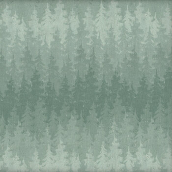 Nature's Landscapes DCX11835-BLUE by Michael Miller Fabrics, Image