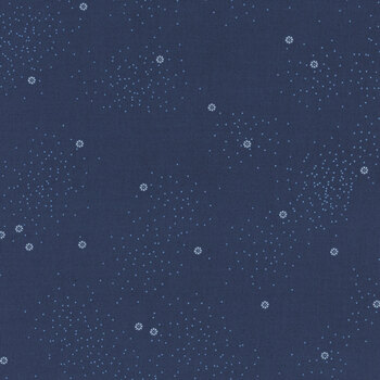 Dainty Daisy C665-NAVY by Beverly McCullough for Riley Blake Designs, Image