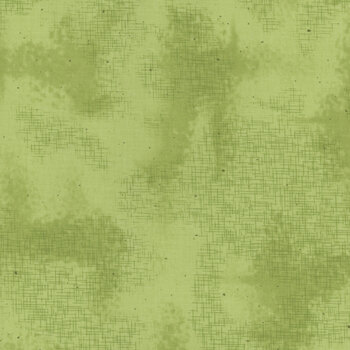 Shabby C605-GREEN by Lori Holt for Riley Blake Designs, Image