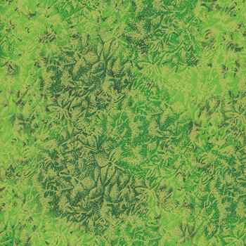 Fairy Frost CM0376-LIME-D Lime by Michael Miller Fabrics, Image