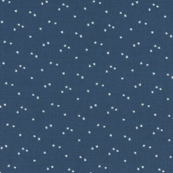 Seasonal Basics C657-BLUE Stars by Christopher Thompson for Riley Blake Designs, Image