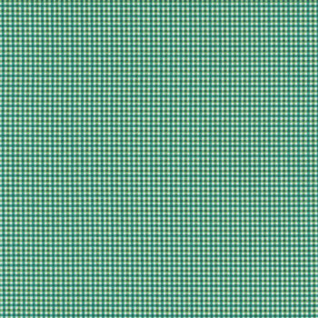 Bee Plaids C12025-JADE by Lori Holt for Riley Blake Designs, Image