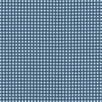 Gingham C440-DENIM by Riley Blake Designs, Image