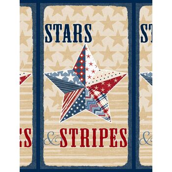 Stars of Valor 30081-234 Multi Panel by Beth Grove for Wilmington Prints, Image