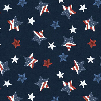 Stars of Valor 30086-443 Navy by Beth Grove for Wilmington Prints