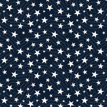 Stars of Valor 30089-441 Navy by Beth Grove for Wilmington Prints