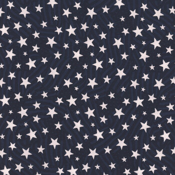 Stars of Valor 30089-441 Navy by Beth Grove for Wilmington Prints, Image