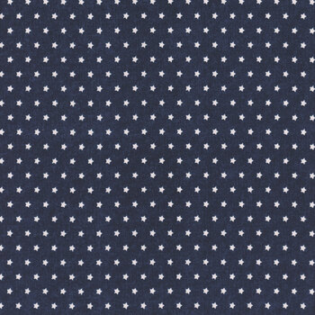 Stars of Valor 30090-414 Navy by Beth Grove for Wilmington Prints, Image