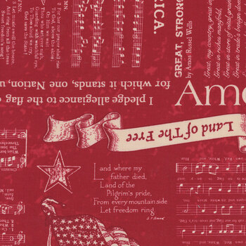 Americana C16080-BERRY by Lori Holt for Riley Blake Designs, Image