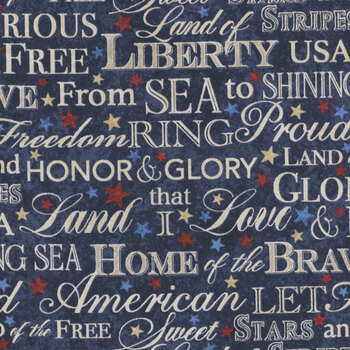 Stars & Stripes 13 - Stonehenge 27885-49 Navy Multi by Linda Ludovico for Northcott Fabrics, Image