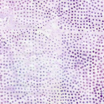 Tonga Crystal B2705-THISTLE by Timeless Treasures Fabrics, Image