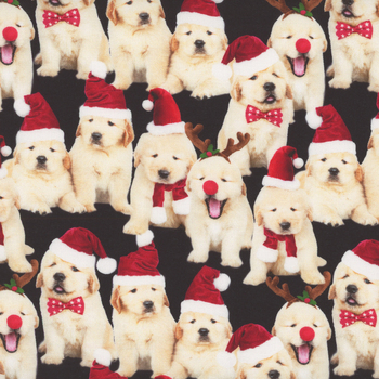 Holiday Favorites HOLIDAY-CD3468 BLACK by Timeless Treasures Fabrics, Image