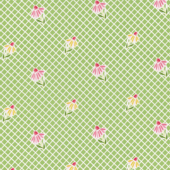 Summer Skies and Fireflies C16372-LIME by Gracey Larson for Riley Blake Designs, Image