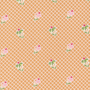 Summer Skies and Fireflies C16372-ORANGE by Gracey Larson for Riley Blake Designs, Image