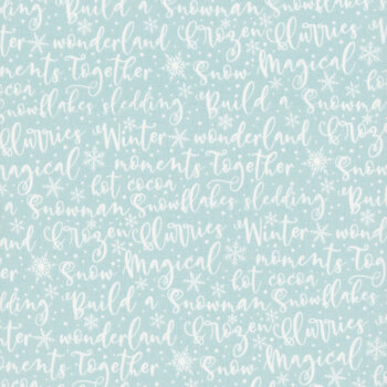 Winter Magic C16363-AQUA by Dani Mogstad for Riley Blake Designs, Image