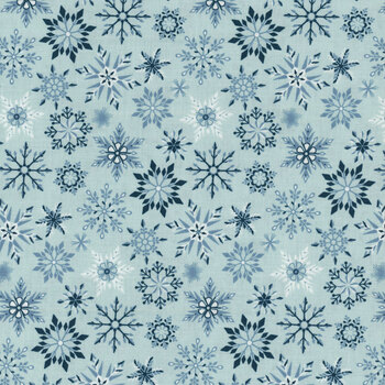 Winter Magic C16365-AQUA by Dani Mogstad for Riley Blake Designs, Image