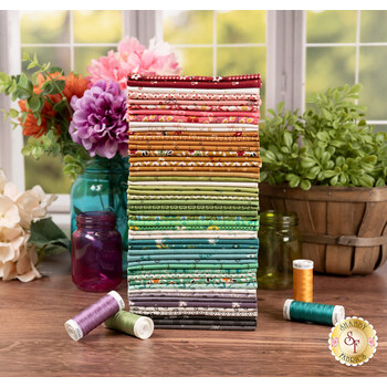 Gentler Times  51 FQ Set by Lori Holt for Riley Blake Designs, Image