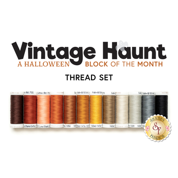  Vintage Haunt - A Halloween BOM - 12pc Thread Set - RESERVE, Image