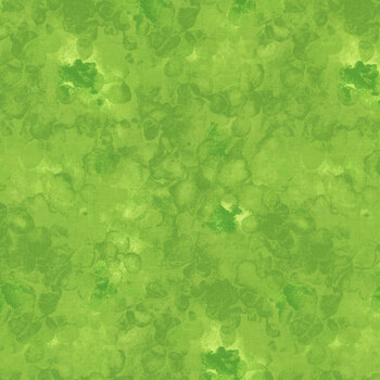 Solid-Ish Basics KIM-C6100 FERN by Timeless Treasures Fabrics, Image