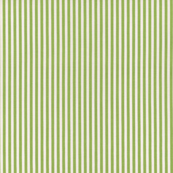 Stripes C495-GREEN by Riley Blake Designs, Image