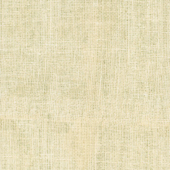 Burlap Texture TEXTURE-CD3149 Ecru by Timeless Treasures Fabrics, Image