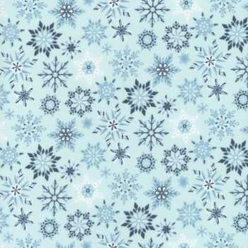 Winter Magic Flannel F16787-AQUA by Dani Mogstad for Riley Blake Designs, Image