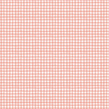 Rainbow Dreams 43024-331 Gingham Pink by Wilmington Prints, Image