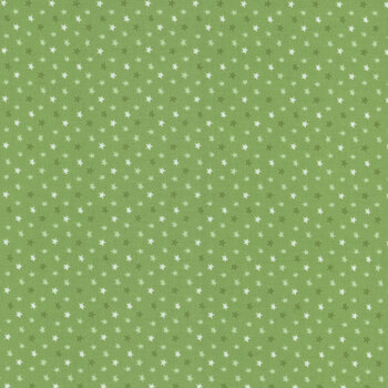 Baby Boy C16766-BASIL by Lori Whitlock for Riley Blake Designs, Image